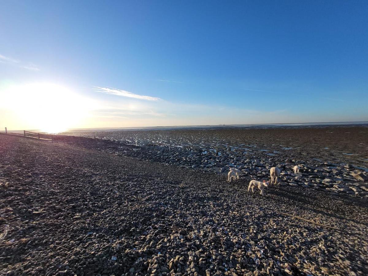Wierums Huske Aan De Waddenzee Unesco Werelderfgoed Εξωτερικό φωτογραφία