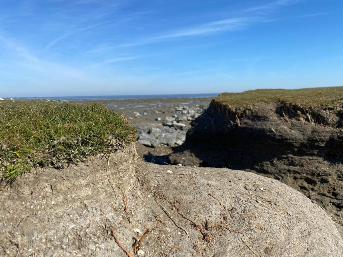 Wierums Huske Aan De Waddenzee Unesco Werelderfgoed Εξωτερικό φωτογραφία