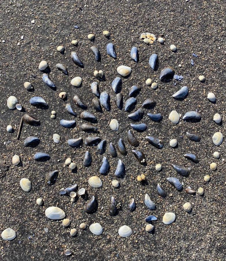 Wierums Huske Aan De Waddenzee Unesco Werelderfgoed Εξωτερικό φωτογραφία